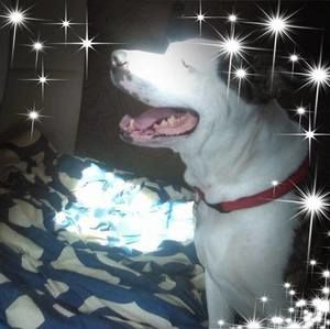 Meet your Posher, Jm